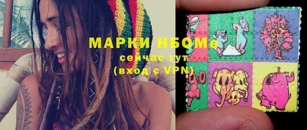 сатива Волоколамск