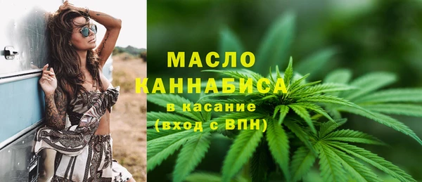 сатива Волоколамск