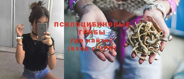 сатива Волоколамск