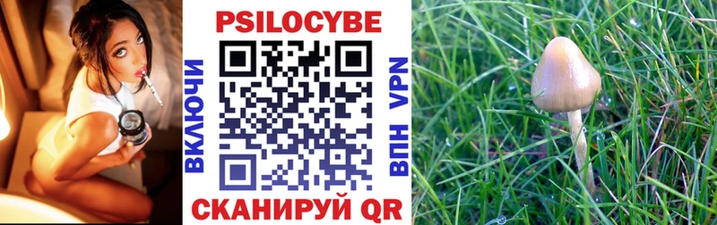 Псилоцибиновые грибы Magic Shrooms Рузаевка